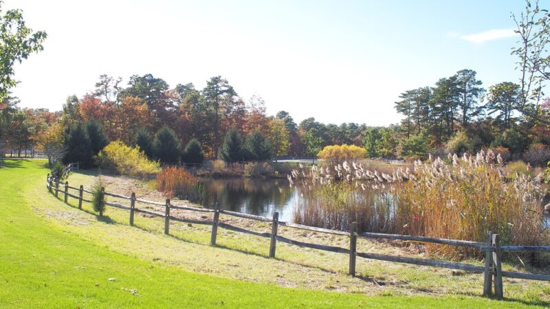 Freedom Fields County Park - Little Egg Harbor Township, NJ