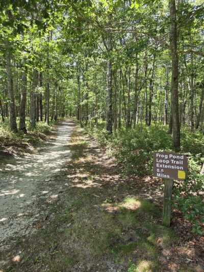 Freedom Fields County Park - Little Egg Harbor Township, NJ