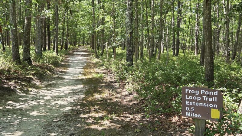 Freedom Fields County Park - Little Egg Harbor Township, NJ