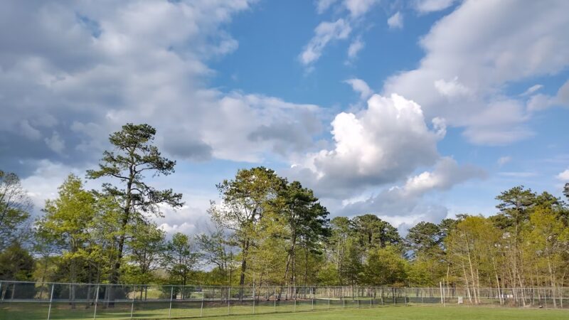 Freedom Fields County Park - Little Egg Harbor Township, NJ