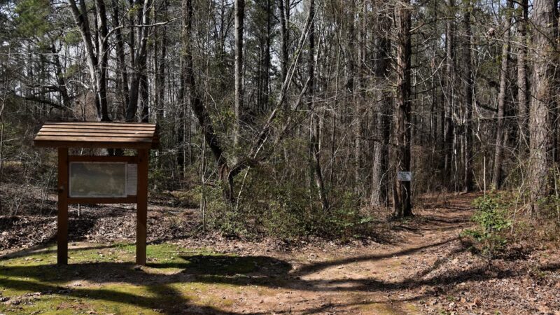 Buck Spring Park - Littleton, NC