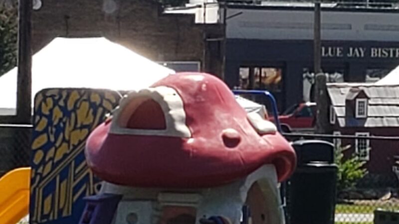 Littleton Town Park - Littleton, NC