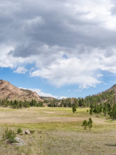 Greyrock Meadow - Livermore, CO