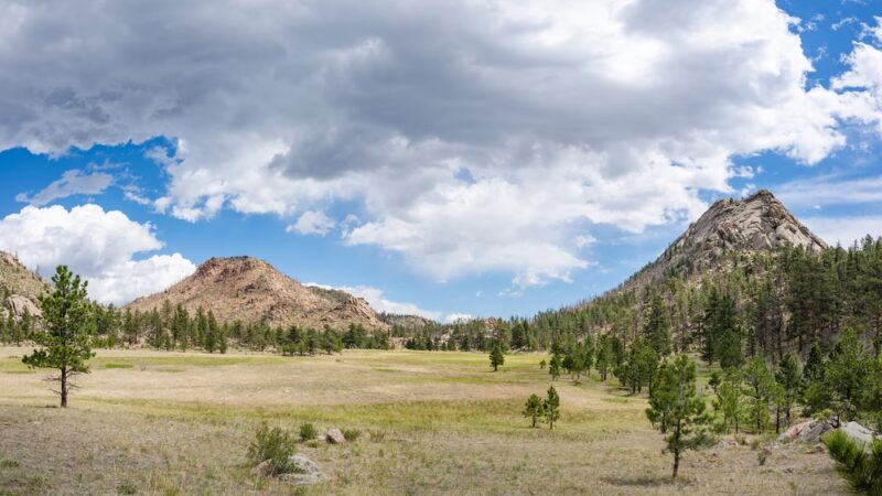 Greyrock Meadow - Livermore, CO