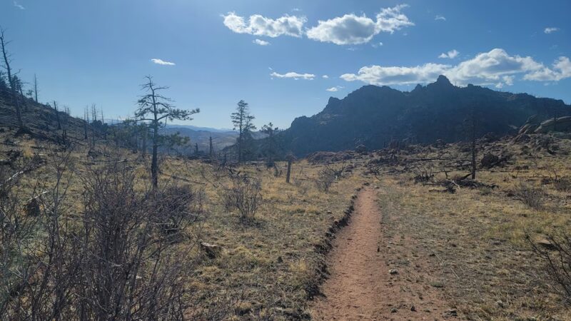 Greyrock Meadow - Livermore, CO