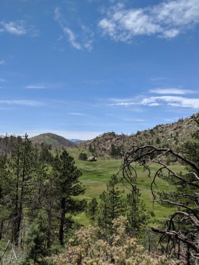 Greyrock Meadow - Livermore, CO