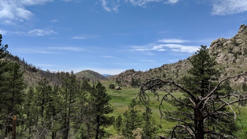 Greyrock Meadow - Livermore, CO