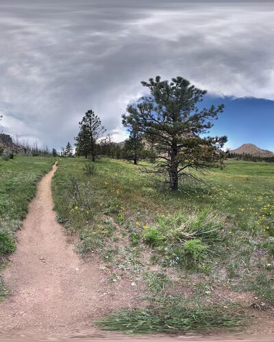 Greyrock Meadow - Livermore, CO