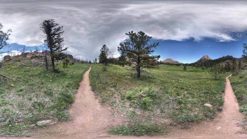 Greyrock Meadow - Livermore, CO