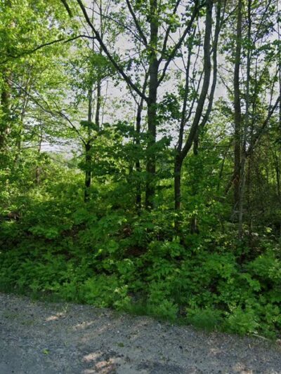 Baldwin Hill Beagles - Livermore, ME