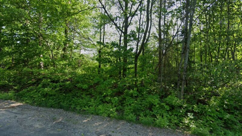 Baldwin Hill Beagles - Livermore, ME