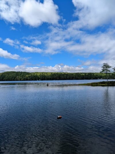 Livermore, ME 04253 - Livermore, ME