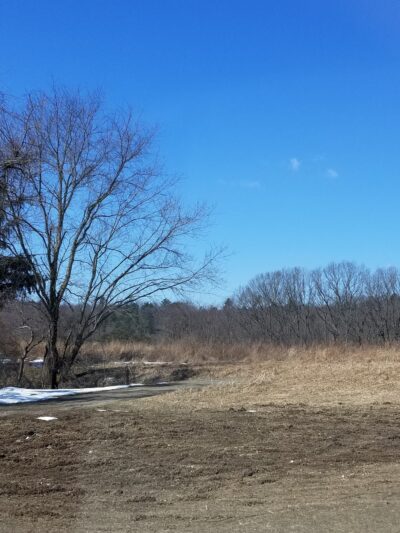 Parking Area - Liverpool, PA