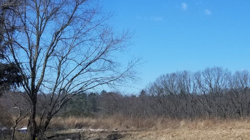 Parking Area - Liverpool, PA