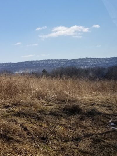 Parking Area - Liverpool, PA