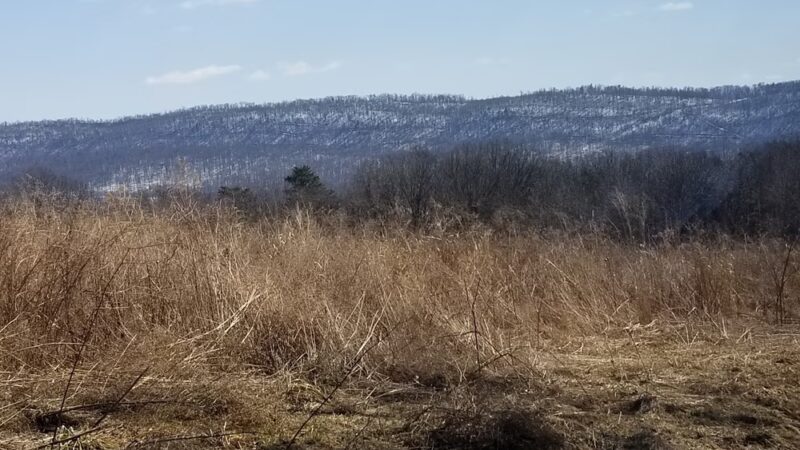 Parking Area - Liverpool, PA