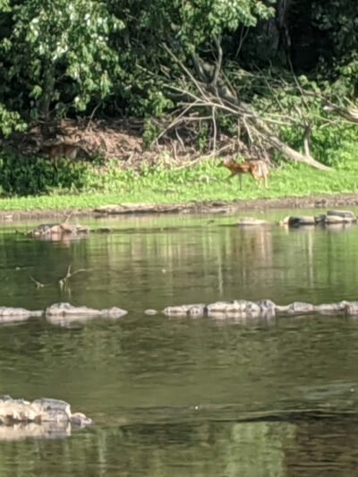 Parking Area - Liverpool, PA