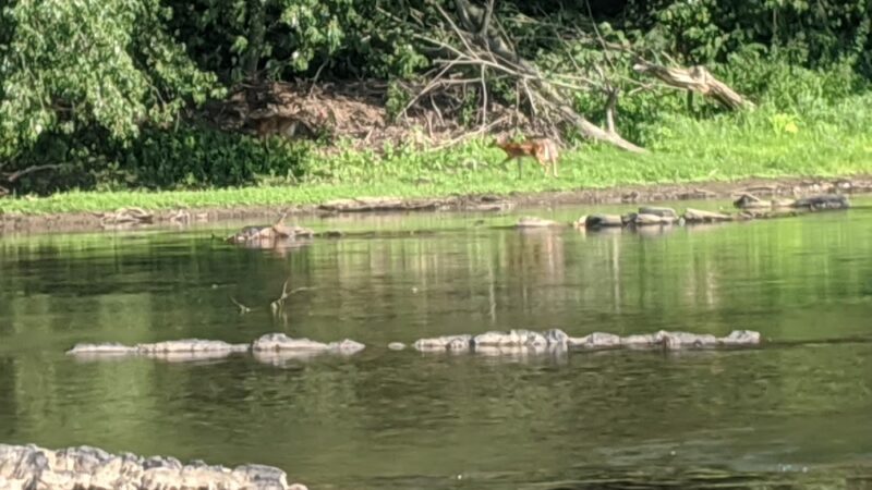 Parking Area - Liverpool, PA