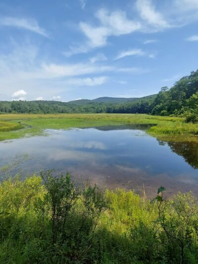Frick Pond Loop - Livingston Manor, NY