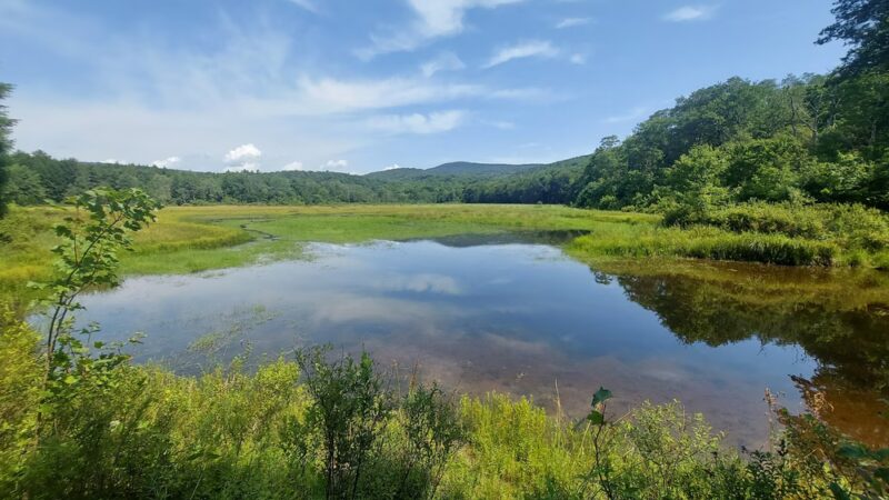 Frick Pond Loop - Livingston Manor, NY