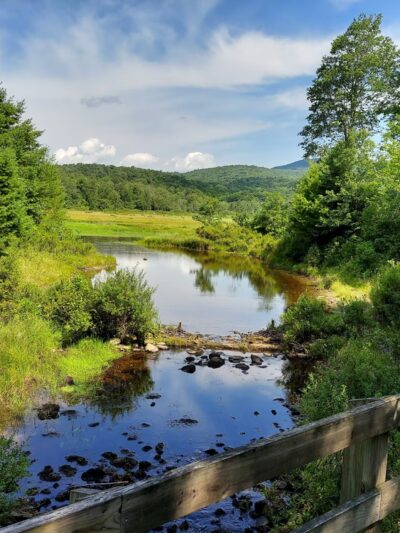 Frick Pond Loop - Livingston Manor, NY