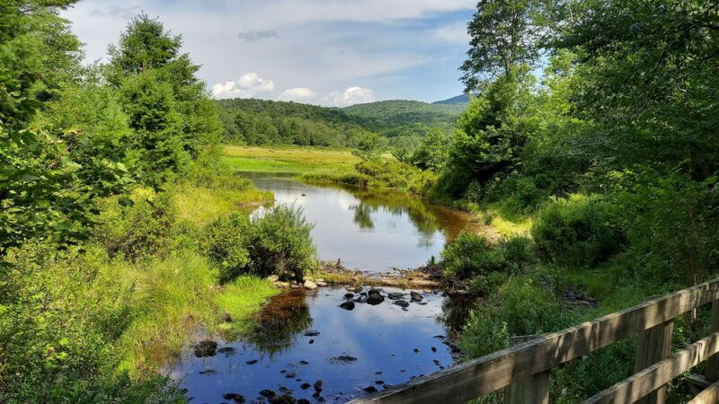 Frick Pond Loop - Livingston Manor, NY