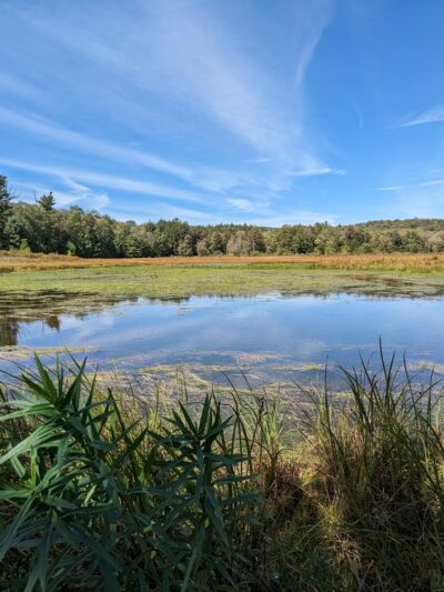 Frick Pond Loop - Livingston Manor, NY