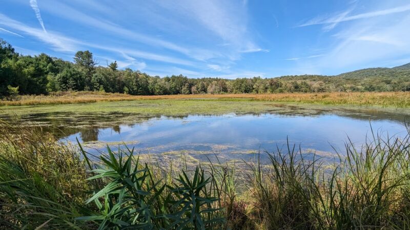 Frick Pond Loop - Livingston Manor, NY