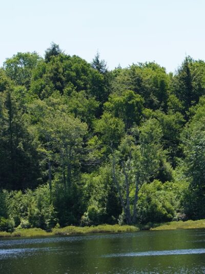 Long Pond Trailhead - Livingston Manor, NY