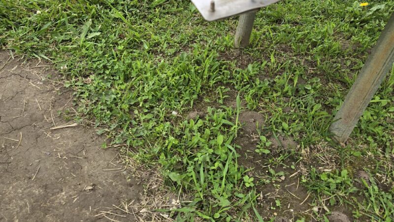 Lizton Lions Club Park - Lizton, IN