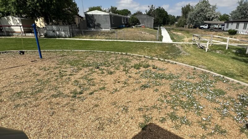 Lochwood Park - Lochbuie, CO