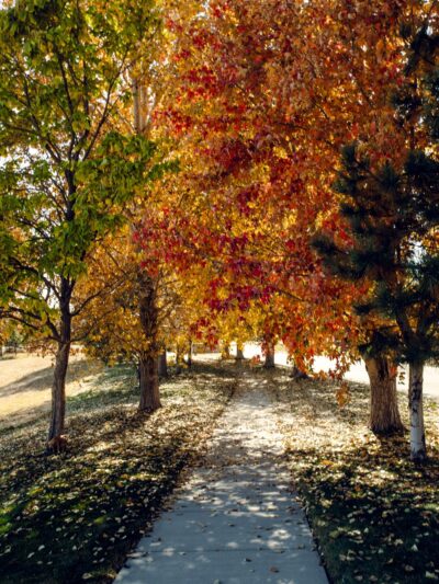 “Ramada” park - Lochbuie, CO