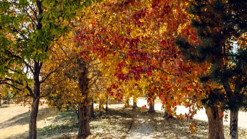 “Ramada” park - Lochbuie, CO
