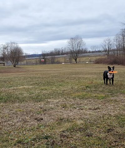 Upper Creek Park - Lock Haven, PA