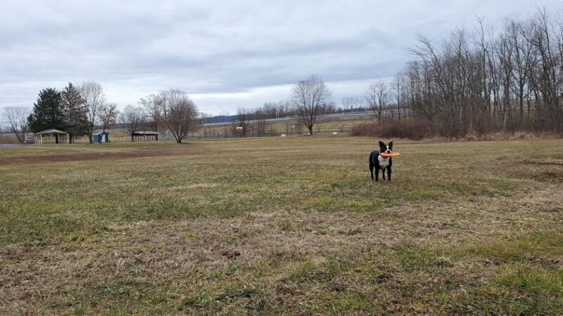 Upper Creek Park - Lock Haven, PA
