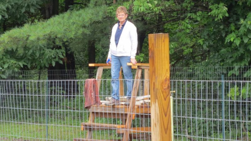 Furry Friends Inn - Lockwood, NY