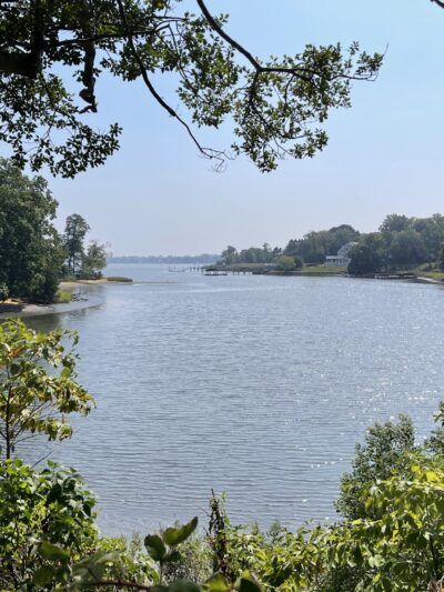 Claypit Creek - Locust, NJ