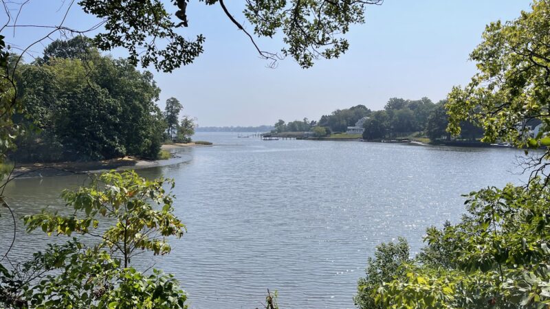 Claypit Creek - Locust, NJ