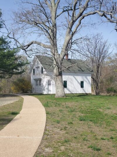 Claypit Creek - Locust, NJ