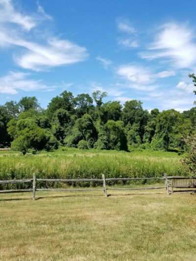 Huber Woods Park - Locust, NJ