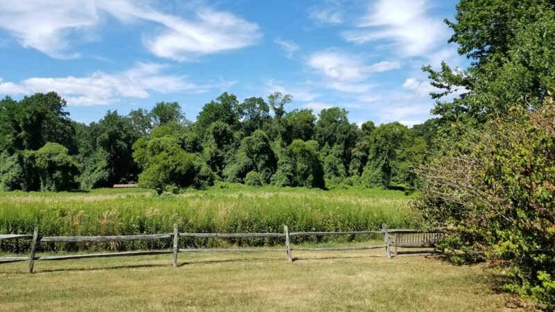 Huber Woods Park - Locust, NJ