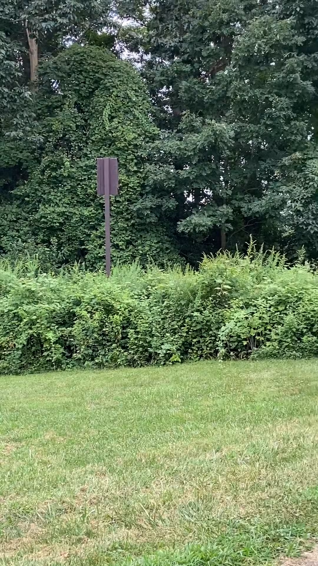 Huber Woods Park - Locust, NJ