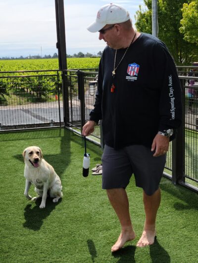 All Dogs Sports Park, LLC - Lodi, CA