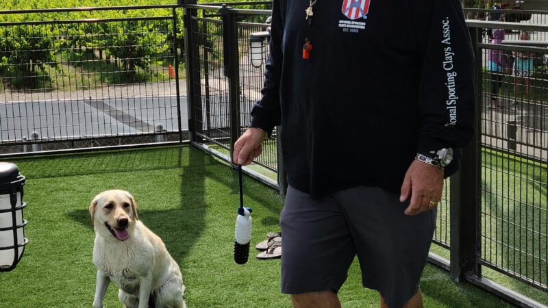 All Dogs Sports Park, LLC - Lodi, CA