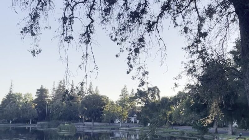 Lodi Lake - Lodi, CA