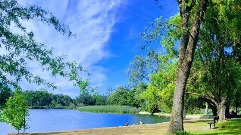 Lodi Lake - Lodi, CA