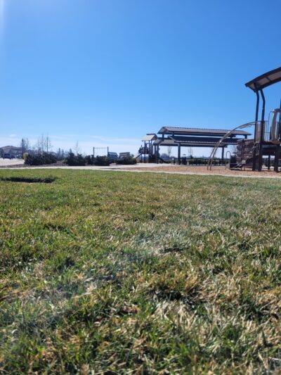 Orchard Lane Park - Lodi, CA