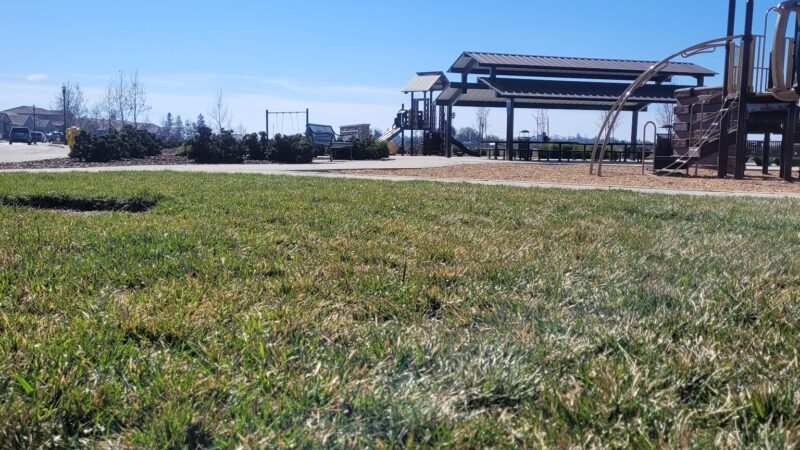 Orchard Lane Park - Lodi, CA