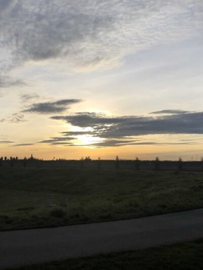 Orchard Lane Park - Lodi, CA