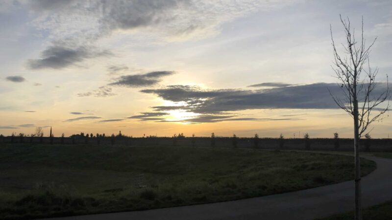 Orchard Lane Park - Lodi, CA